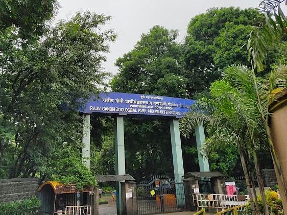 A photo of the entrance to the Rajiv Gandhi Zoological Park. A blue sign with the park's name is visible above the entrance gate, which is framed by two large, green trees.
